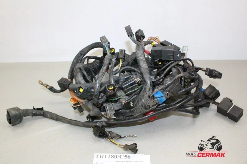 T2500407 kabeláž svazek Triumph Speed Triple 595 rok 99-04 Autentický